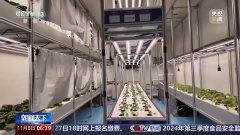 工场长啥样？戈壁里能种水稻？揭秘种菜