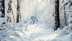 <b>青藏高原等地送来强降雪过程加强防御办</b>