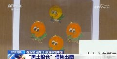 “冰雪搭台、粮食唱戏” 亚冬碰见黑地盘