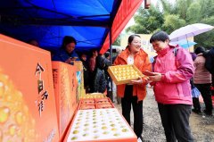新春走下层丨“金果果”飞跃壮乡 甜动海