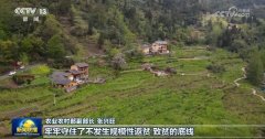 【开创高质量成长新场合排场】2024年农业