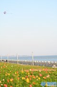 2月3日今天立春时间几点几分 2025年打春精